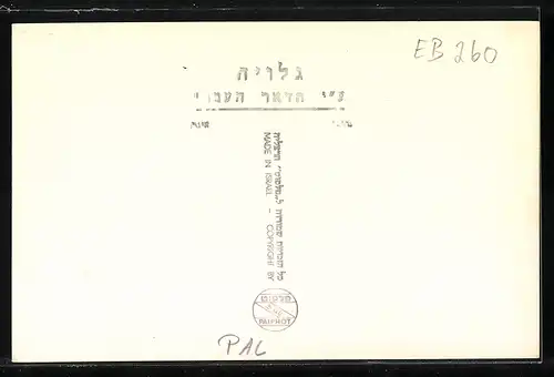 AK Haifa, Strassenansicht mit Geschäften