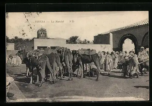 AK Biskra, Le Marche