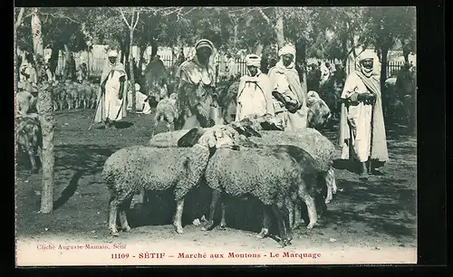 AK Setif, Marche aux Moutons, Le Marquage