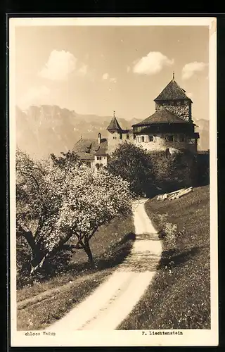 AK Vaduz, Schloss in der Frühlingssonne