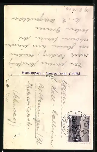 AK Vaduz, Schloss in der Frühlingssonne