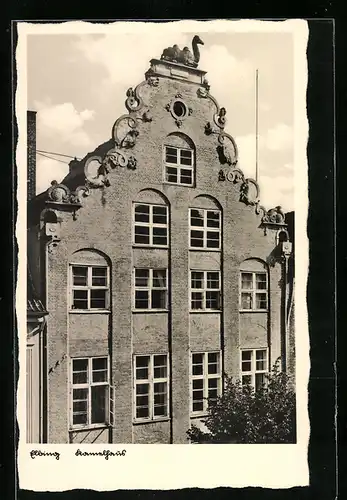 AK Elbing / Elblag, Kamelhaus, Teilansicht