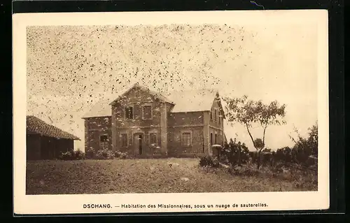 AK Dschang, Habitation des Missionnaires, sous un nuage de sauterelles