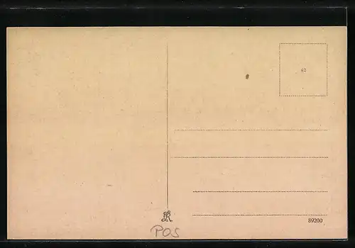 AK Posen, Akademie und Bismarck-Denkmal