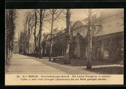 AK Alt-Berlin, Charlottenburger Schloss, die kleine Orangerie