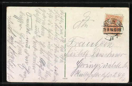 AK Riesa, Hüttenwerk, Rathaus, Stadtpark