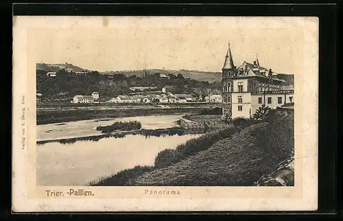 AK Trier-Pallien, Panorama, Uferpartie