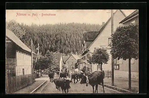 AK Altenau i. Harz, Breitestrasse mit Rindern