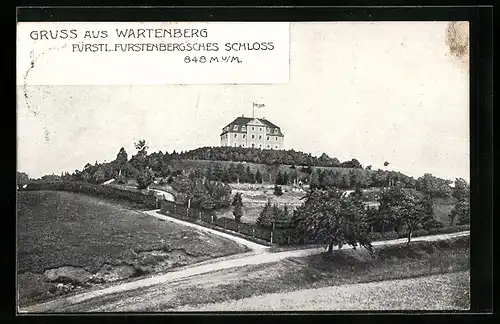 AK Geisingen, Blick auf das Fürstl. Fürstenberg`sche Schloss in Wartenberg