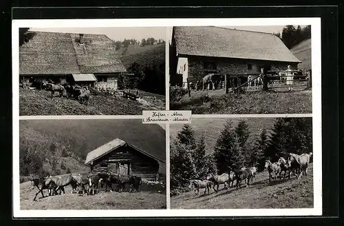 AK Grassau, Ansichten der Hefter-Alm