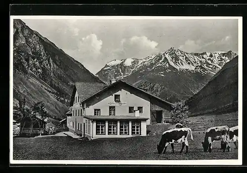 AK Plangeross /Pitztal, Gasthof und Pension Traube mit Kühen