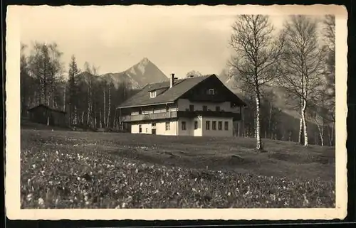 AK Seefeld i. T., Hotel-Pension Kritzler in der Frühlingssonne