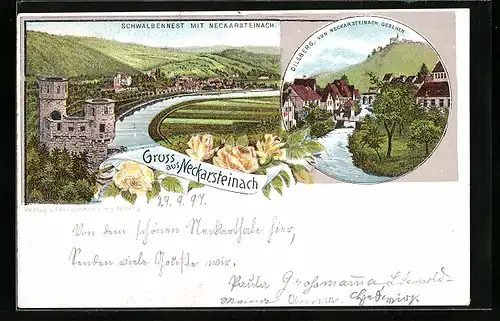 Lithographie Neckarsteinach, Schwalbennest, Dilsberg