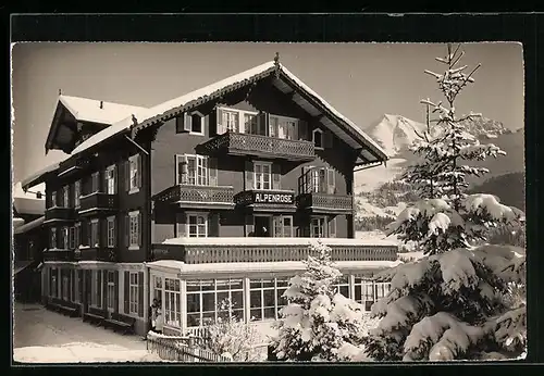 AK Adelboden, Pension Alpenrose