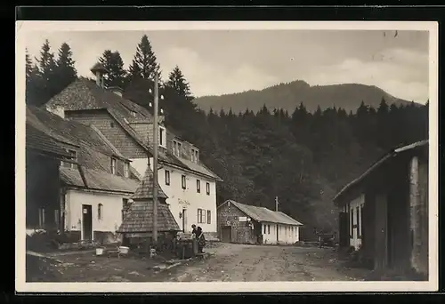 AK Zwiesel, Gasthaus Waldhaus am Falkenstein