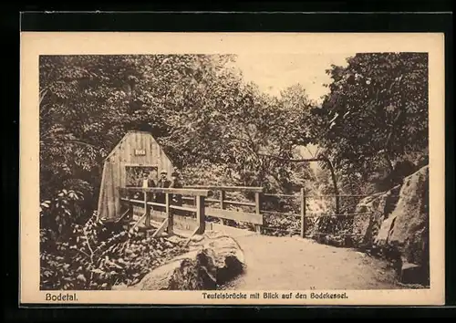 AK Thale /Harz, Bodetal, Teufelsbrücke mit Bodekessel
