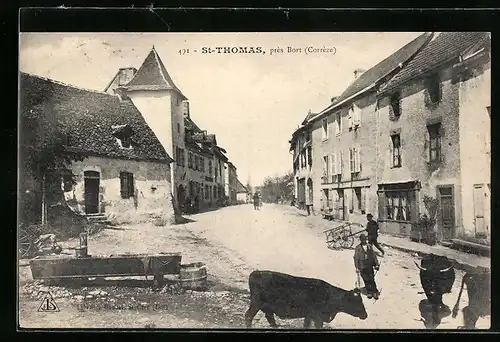 AK St-Thomas, Viehtrieb auf einer Strasse im Ort