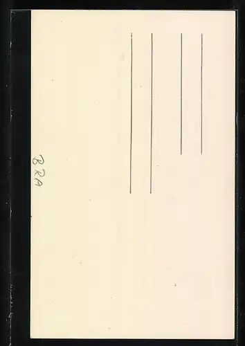 AK Joinville, Segelboote im Hafen