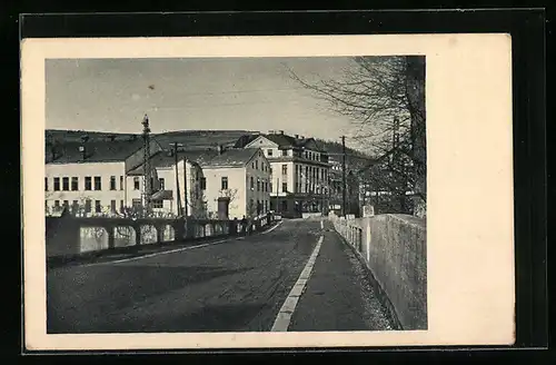 AK Olovi, Strassenpartie mit Baum