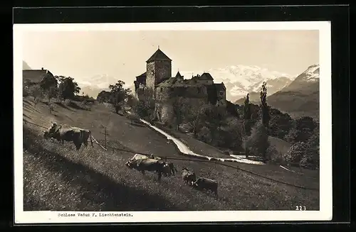 AK Vaduz /Liechtenstein, Schloss Vaduz mit Rindern
