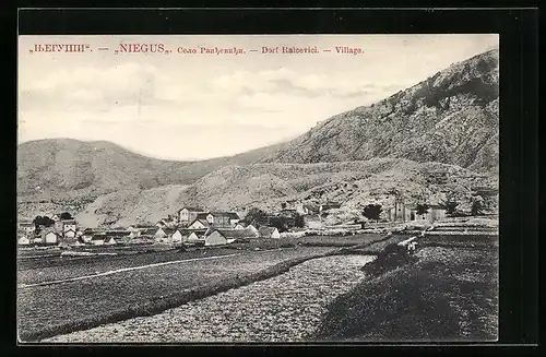 AK Raicevici, Blick zum Ort