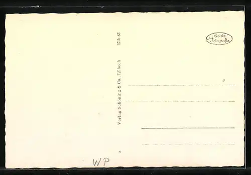 AK Elbing / Elblag, Strassenpartie am Stadttheater