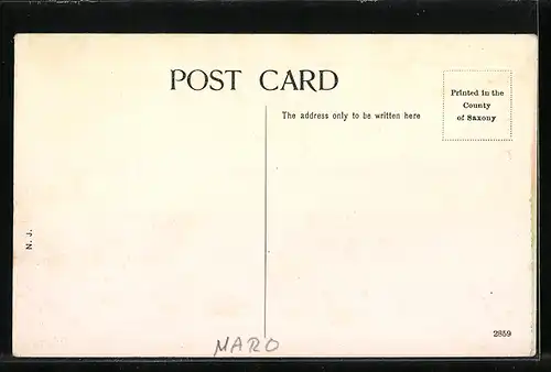 AK Mogador, Ships of the Desert