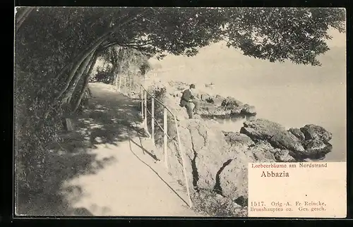 AK Abbazia, Lorbeerbäume am Nordstrand