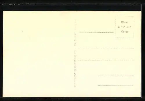 AK Bregenz a. Bodensee, Blick vom Martinsturm aus