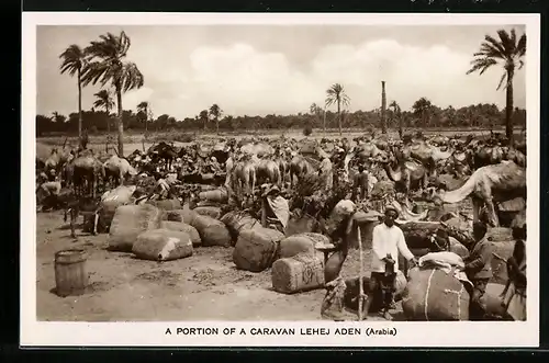 AK Aden, A Portion of a Caravan Lehej