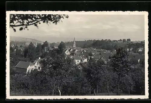 AK Meckesheim i. B., Teilansicht