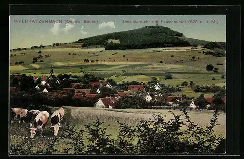 AK Waldkatzenbach i. Odenw. /Baden, Gesamtansicht mit Katzenbuckel