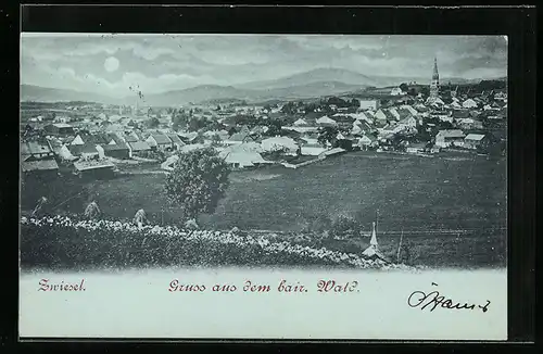 Mondschein-AK Zwiesel, Gruss aus dem bair. Wald, Panorama im Vollmondlicht