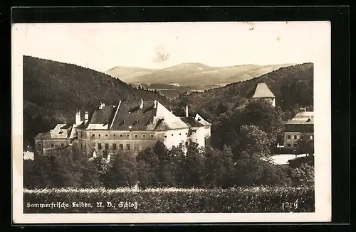 AK Leiben, Schloss mit Umgebung aus der Vogelschau