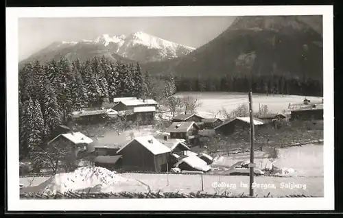 AK Goldegg im Pongau, Ortsansicht aus der Vogelschau