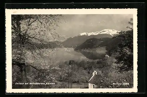 AK Dellach a. Millstättersee, Ortsansicht aus der Vogelschau