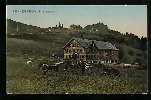 AK Bregenz, Pfänderdohle, Panorama mit Rindern