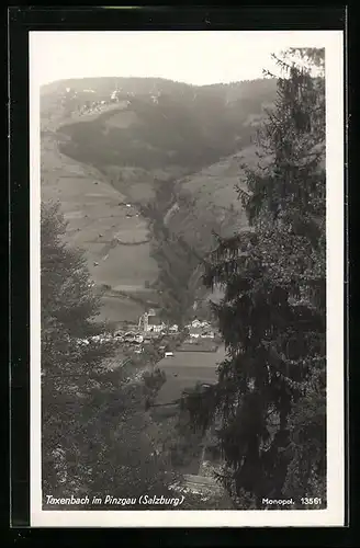 AK Taxenbach i. Pinzgau, Ortsansicht zwischen Tannen