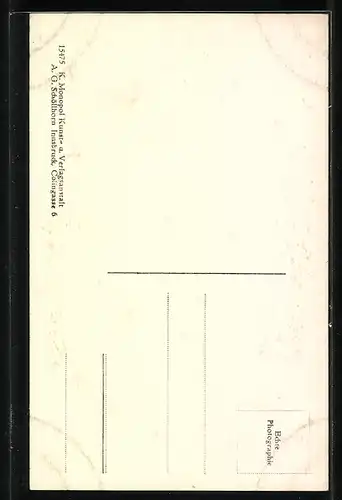 AK Hopfgarten, Ortsansicht mit Hohen Salve