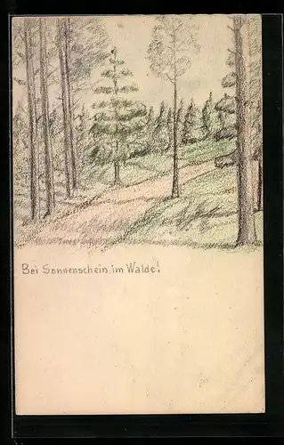 Künstler-AK Handgemalt: Bei Sonnenschein im Walde