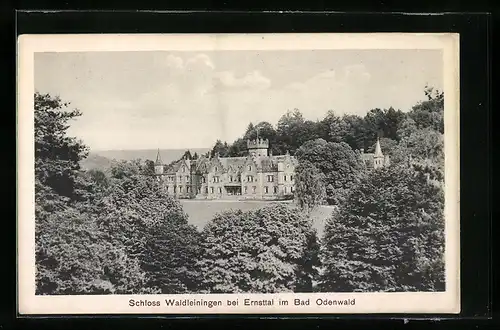 AK Ernsttal i. badisch. Odenwald, Schloss Waldleiningen