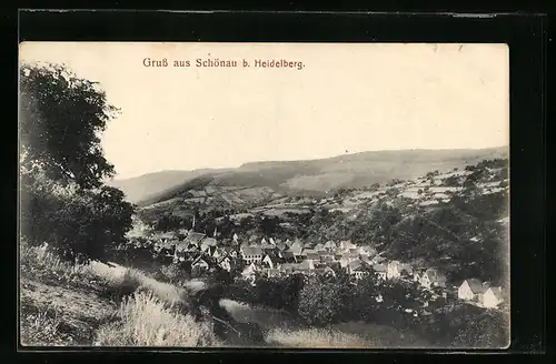 AK Schönau b. Heidelberg, Teilansicht