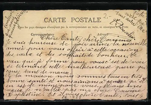 Künstler-AK Handgemalt: Mistelzweig mit Früchten