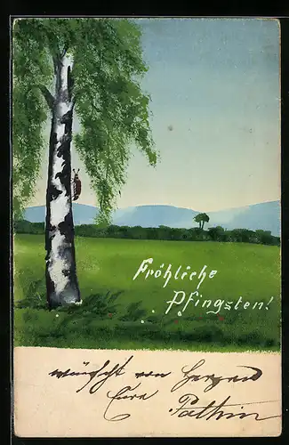 Künstler-AK Handgemalt: Maikäfer an einer Birke, Pfingstgruss