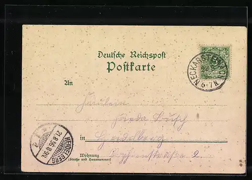 Lithographie Neckarsteinach, Schwalbennest, Gesamtansicht mit Neckar, Dilsberg