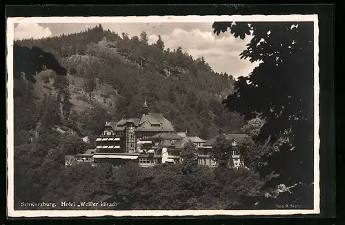 AK Schwarzburg, Hotel Weisser Hirsch