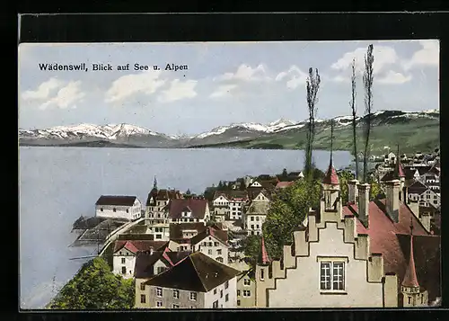 AK Wädenswil, Blick auf See und Alpen