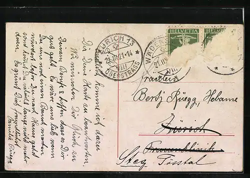 AK Wädenswil, Blick auf See und Alpen