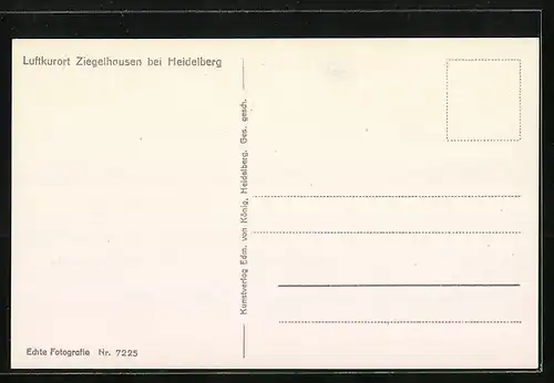 AK Ziegelhausen bei Heidelberg, Totalansicht von einem Berg aus