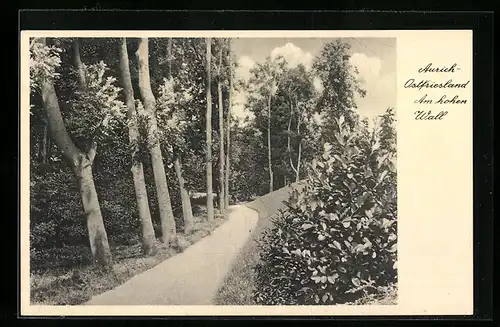 AK Aurich / Ostfriesland, am hohen Wald